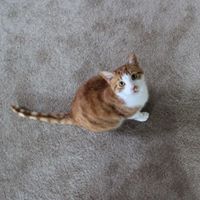 Andre Buford Photo 5