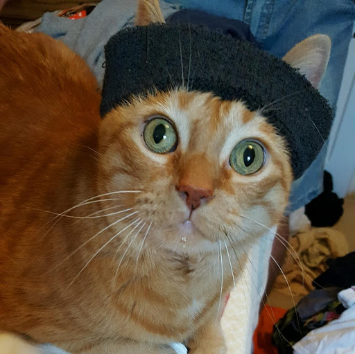 Carol Metzger Photo 33