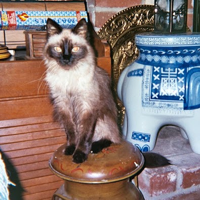 Roland Langlois Photo 4