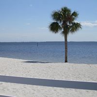 Rosemary Helms Photo 18