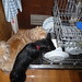 Sheila Barkley Photo 9
