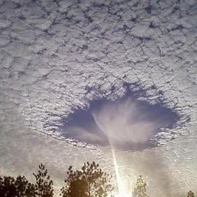 Dale Howard Photo 12