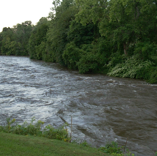 Holly Harmon Photo 41