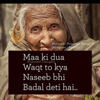 Shamim Mirza Photo 10