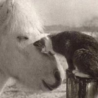 Sarah Clemens Photo 28