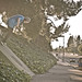 John Kight Photo 33