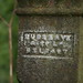 Stephen Musgrave Photo 17