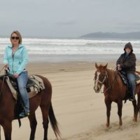 Julie Harp Photo 11