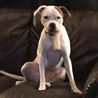 Kevin Hubbard Photo 22