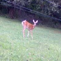 Chrystal Goff Photo 19