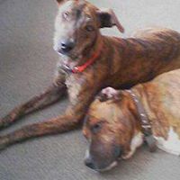 Russell Chapman Photo 26