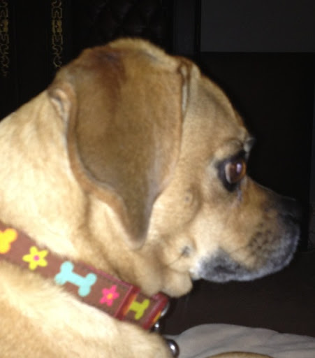 Rebecca Marchand Photo 36