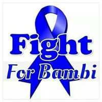 Hailey Stafford Photo 9