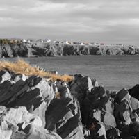 Eugene Howell Photo 29