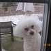 Jessica Burleson Photo 28