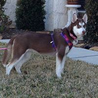 Bryan Rector Photo 9