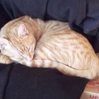 Jeffrey Madsen Photo 10