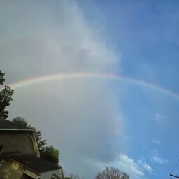 Michelle Pollard Photo 33