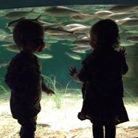 Kathleen Schneider Photo 23