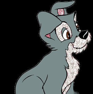 Kelly Coronado Photo 8