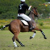 Steven Kane Photo 29