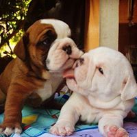 Cassandra Tanner Photo 9