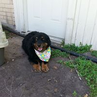 Lindsay Ray Photo 12