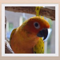 Karen Crites Photo 13