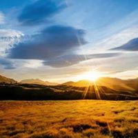 Thomas Langley Photo 7