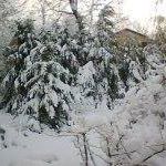 Jeffery Schwartz Photo 21