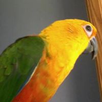 Jessica Dickinson Photo 26