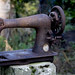 Carol Haywood Photo 15