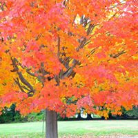 Amy Keating Photo 13