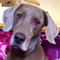 Deonna Harris Photo 15