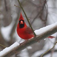 Rebecca Engler Photo 10
