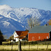 Laura Engle Photo 14