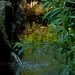 Marianne Weir Photo 9