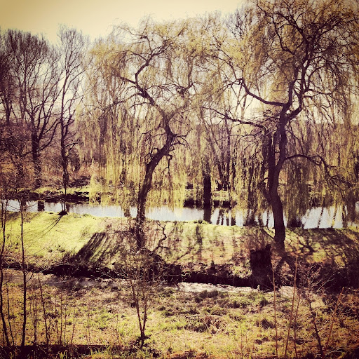 Laura Frazer Photo 26