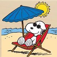 Debbie Helm Photo 12