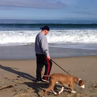 Marc Walters Photo 18