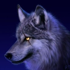 Felix Arroyo Photo 22