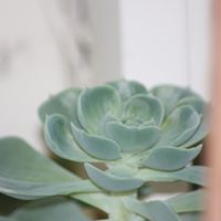 Allan Swanson Photo 12