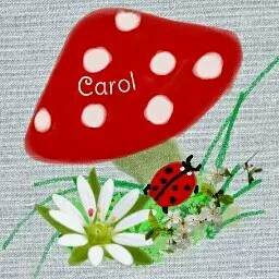 Carol Mccann Photo 38