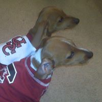 Daisy Matthews Photo 12