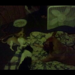 Billie Clark Photo 9