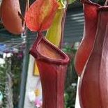 David Jasper Photo 5 David Jasper Photo 5