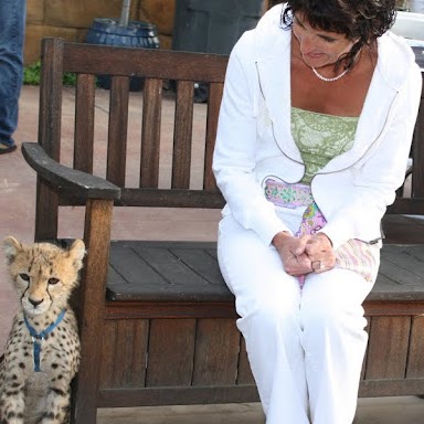 Julie Plummer Photo 13