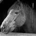 Jim Burt Photo 6
