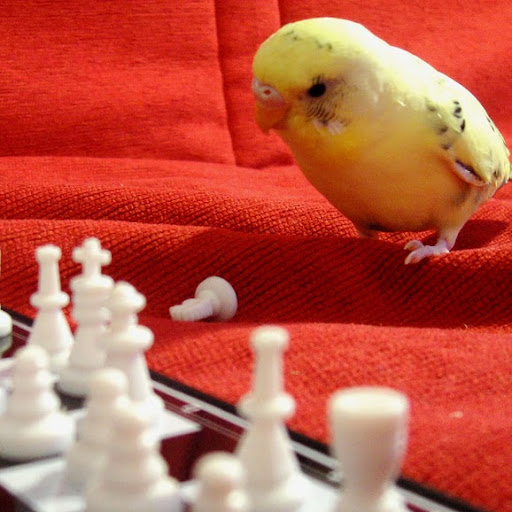 Valencia Johnson Photo 7