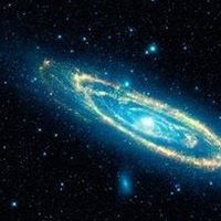 Robert Rouleau Photo 19